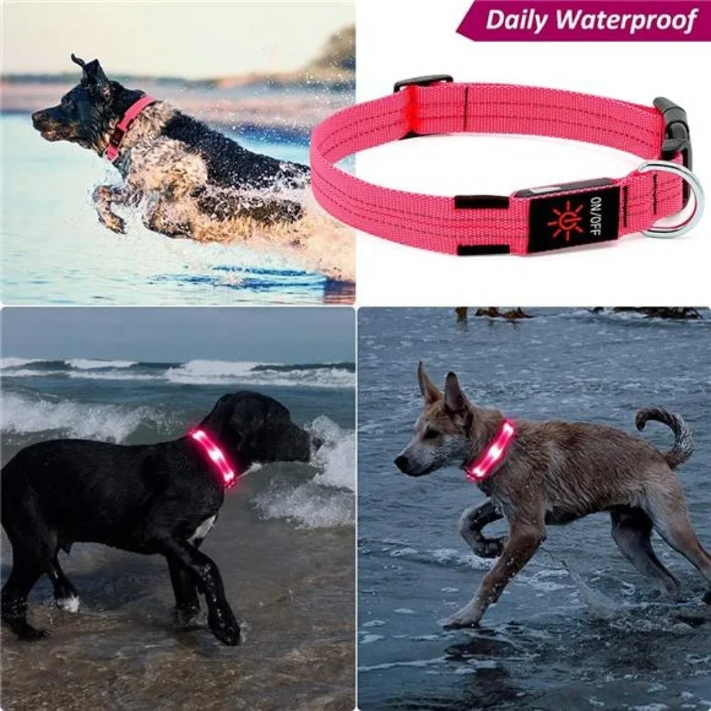 Led Dog Collar, Rechargeable Light Up Collar Waterproof, Pink